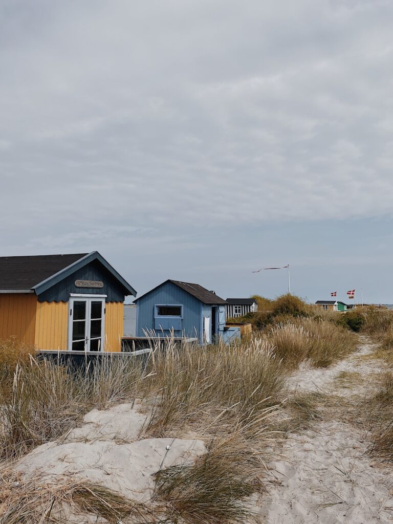 a row of houses on a dirt road